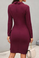 Women’s Long Sleeve Knee Dress – Elegant Office Wear – Structured Fit – All-Season
