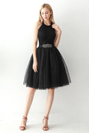 Adult High Waist Tulle Puff Mini Skirt